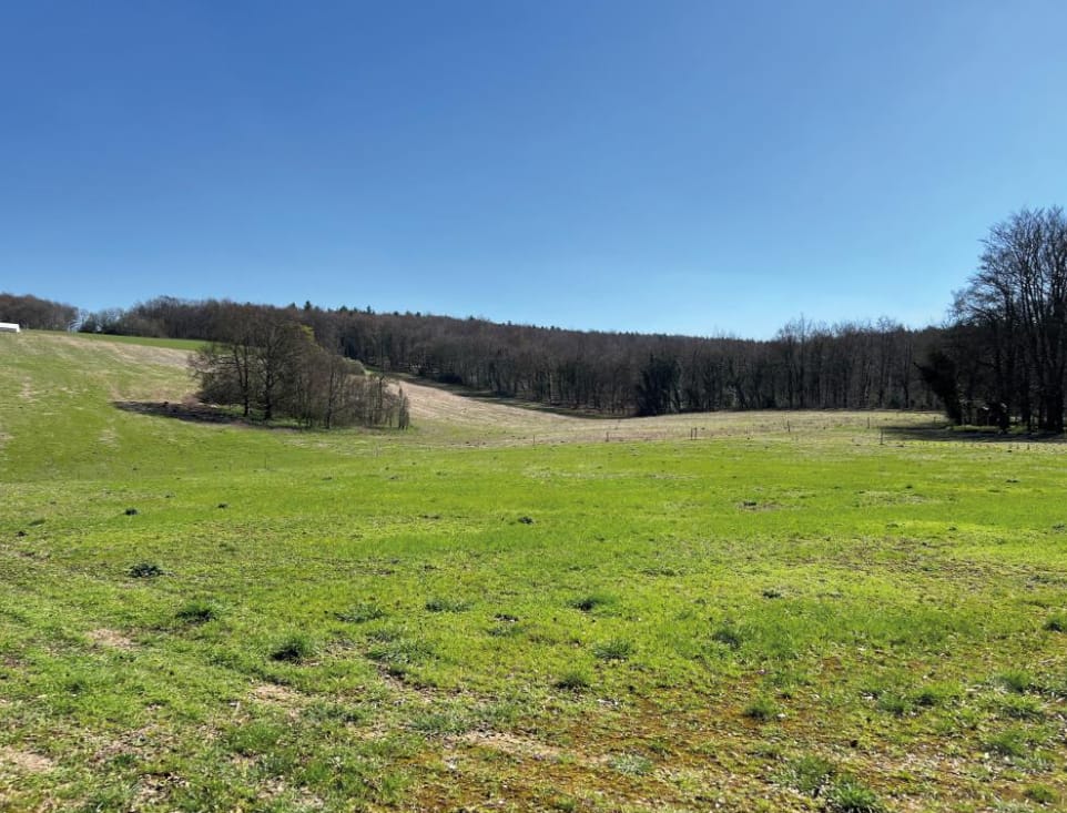 Preview of main property