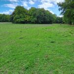 Additional view of property Land At Westbury Park, West Meon, Petersfield, GU32 1NB