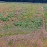 Additional view of property Land At Westbury Park, West Meon, Petersfield, GU32 1NB