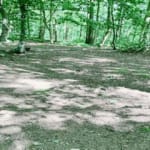 Additional view of property Plot 4 Woodlands, Cadham Square, Near Glenrothes, KY7 6PL