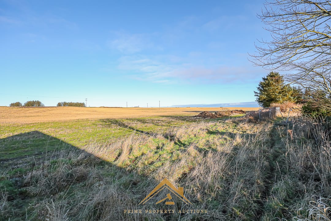 Preview of main property