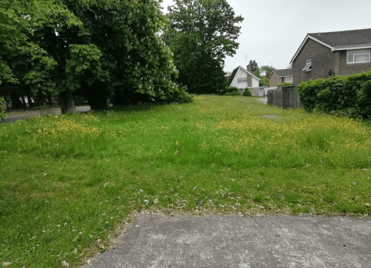 Preview of main property