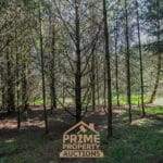 Additional view of property Land At Bailey Mill Near Kielder Forest, Cumbria, TD9 0TR