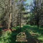 Additional view of property Land At Bailey Mill Near Kielder Forest, Cumbria, TD9 0TR