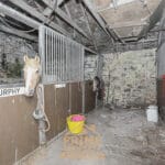 Additional view of property Cairnhill Stoneykirk, Stranraer, DG9 9EE