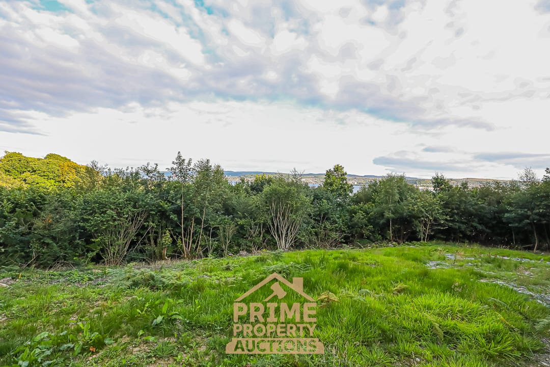 Preview of main property
