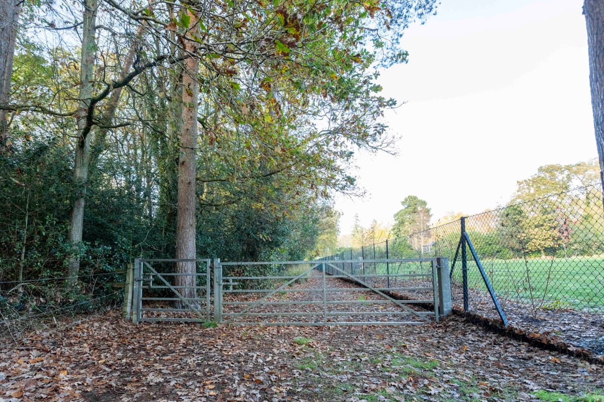 Preview of main property