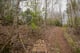 Thumbnail 10 of property at Plot At Moray Park Gardens, Inverness, IV2 7FY
