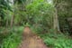 Thumbnail 31 of property at Land At Croftamie, Glasgow, G63 0HD