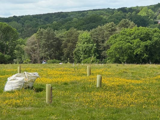 Preview of property Plot Of Land Near Downingbury Farm House, Kent, TN2 4AD