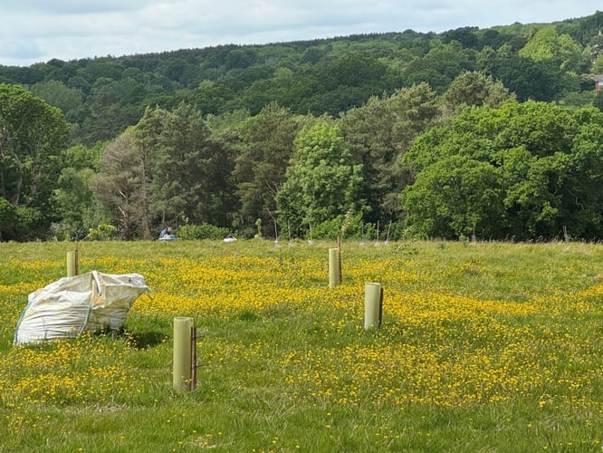Main view of property at Plot Of Land Near Downingbury Farm House, Kent, TN2 4AD