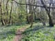 Thumbnail 7 of property at Plot Of Land Near Downingbury Farm House, Kent, TN2 4AD