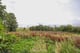 Thumbnail 11 of property at Plot At Balmore Road, Bishopbriggs, G23 5HD