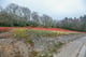 Thumbnail 28 of property at Land Near 1 Upland Road, Garelochhead, G84 0BB