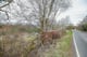 Thumbnail 18 of property at North To South Off The Green Kettle, Garelochhead, Helensburgh, G84 0EP