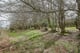 Thumbnail 7 of property at Land at Fairhaven Terrace, Readingmuirhead, FK2 0DX