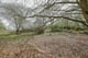 Thumbnail 12 of property at Land at Fairhaven Terrace, Readingmuirhead, FK2 0DX