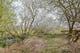 Thumbnail 13 of property at Land at Fairhaven Terrace, Readingmuirhead, FK2 0DX