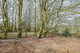 Thumbnail 15 of property at Land at Fairhaven Terrace, Readingmuirhead, FK2 0DX