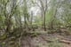 Thumbnail 16 of property at Land at Fairhaven Terrace, Readingmuirhead, FK2 0DX