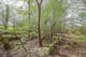 Thumbnail 17 of property at Land at Fairhaven Terrace, Readingmuirhead, FK2 0DX