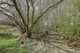 Thumbnail 18 of property at Land at Fairhaven Terrace, Readingmuirhead, FK2 0DX