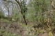 Thumbnail 19 of property at Land at Fairhaven Terrace, Readingmuirhead, FK2 0DX