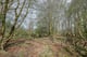Thumbnail 4 of property at Land at Fairhaven Terrace, Readingmuirhead, FK2 0DX