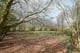 Thumbnail 5 of property at Land at Fairhaven Terrace, Readingmuirhead, FK2 0DX