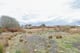 Thumbnail 2 of property at Land On Muirlaun, Forth, Lanark, ML11 8AQ