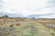 Thumbnail 3 of property at Land On Muirlaun, Forth, Lanark, ML11 8AQ
