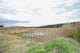 Thumbnail 4 of property at Land On Muirlaun, Forth, Lanark, ML11 8AQ