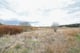 Thumbnail 5 of property at Land On Muirlaun, Forth, Lanark, ML11 8AQ