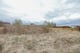 Thumbnail 8 of property at Land On Muirlaun, Forth, Lanark, ML11 8AQ