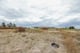 Thumbnail 11 of property at Land On Muirlaun, Forth, Lanark, ML11 8AQ