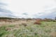 Thumbnail 13 of property at Land On Muirlaun, Forth, Lanark, ML11 8AQ