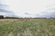 Thumbnail 17 of property at Land On Muirlaun, Forth, Lanark, ML11 8AQ