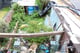 Thumbnail 10 of property at 20 Netherfields Crescent, Middlesbrough, TS3 0QL