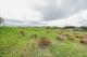 Thumbnail 31 of property at 45 Forrest Road, Salsburgh, Shotts, ML7 4PB