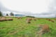 Thumbnail 33 of property at 45 Forrest Road, Salsburgh, Shotts, ML7 4PB