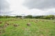 Thumbnail 34 of property at 45 Forrest Road, Salsburgh, Shotts, ML7 4PB