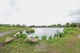 Thumbnail 31 of property at Greenhill Farm, Shotts, ML1 5NF