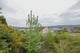 Thumbnail 4 of property at Land At Middlepenny Road, Langbank, Renfrewshire, PA14 6XE