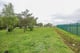 Thumbnail 5 of property at Greenhill Farm, Shotts, ML1 5NF
