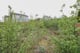 Thumbnail 6 of property at Land At Middlepenny Road, Langbank, Renfrewshire, PA14 6XE