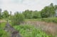 Thumbnail 7 of property at Land At Upper Cartsburn, Greenock, PA15 3AD
