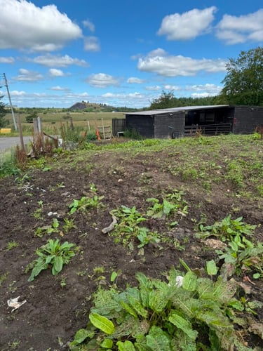 Main view of property at Land To The East Of 19 Shottsburn Road, Kirk Of Shotts, ML7 4NT